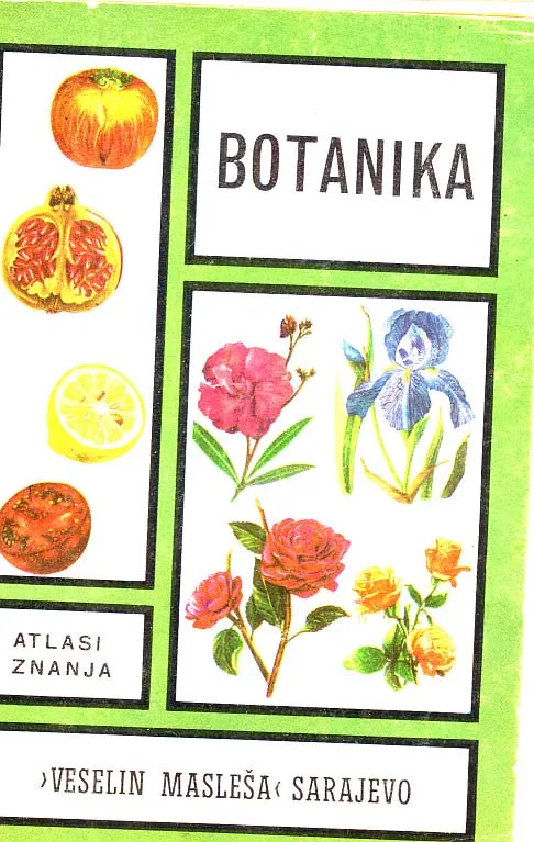 Botanika