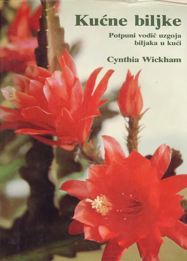 Kućne biljke