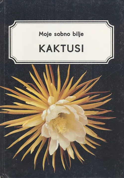 Moje sobno bilje: Kaktusi