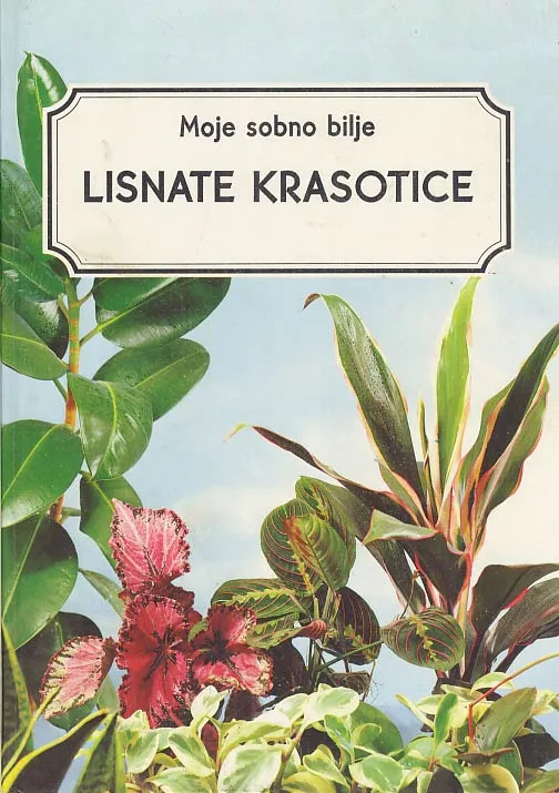 Lisnate krasotice