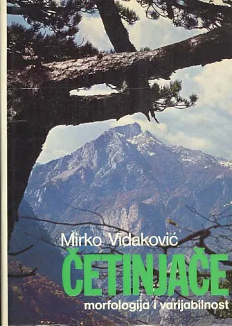 Četinjače - morfologija i varijabilnost