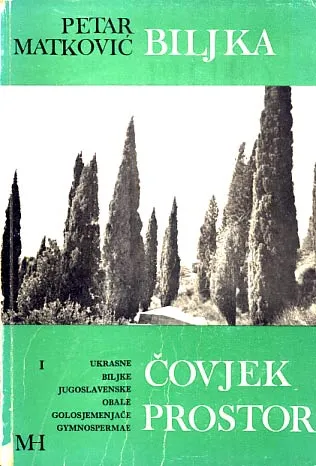 Biljka čovjek prostor
