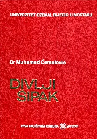 Divlji šipak