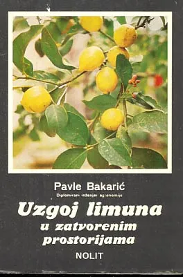 Uzgoj limuna u zatvorenim prostorijama