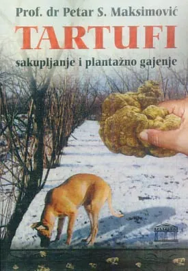 Tartufi: sakupljanje i plantažno gajenje