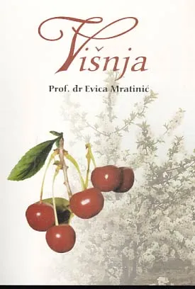 Višnja
