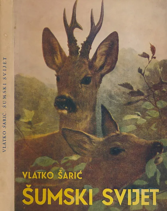 Šumski svijet