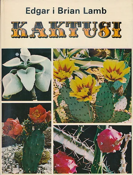 Kaktusi