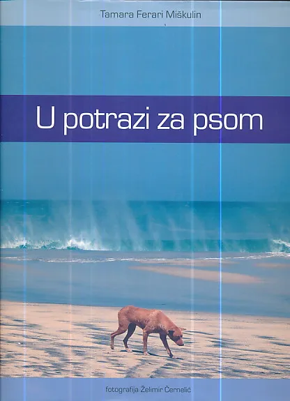 U potrazi za psom