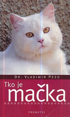 Tko je mačka