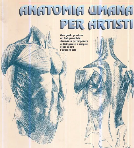 Anatomia umana per artisti