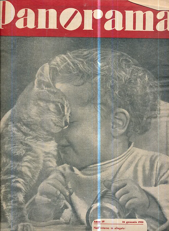 Panorama 1-24/1955