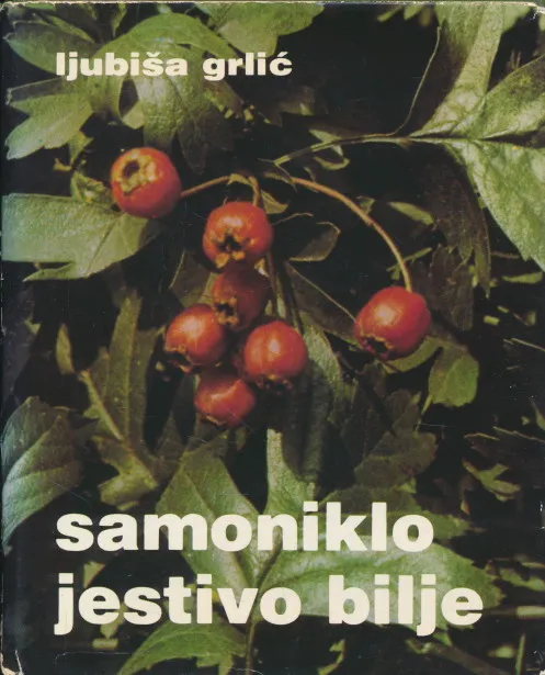 Samoniklo jestivo bilje