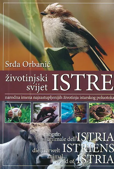 Životinjski svijet Istre : narodna imena najzastupljenijih životinja istarskog poluotoka