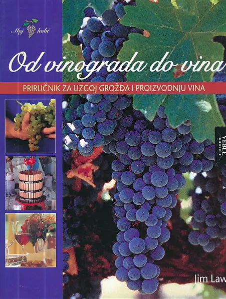 Od vinograda do vina