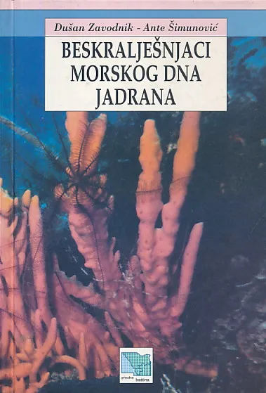Beskralješnjaci morskog dna Jadrana
