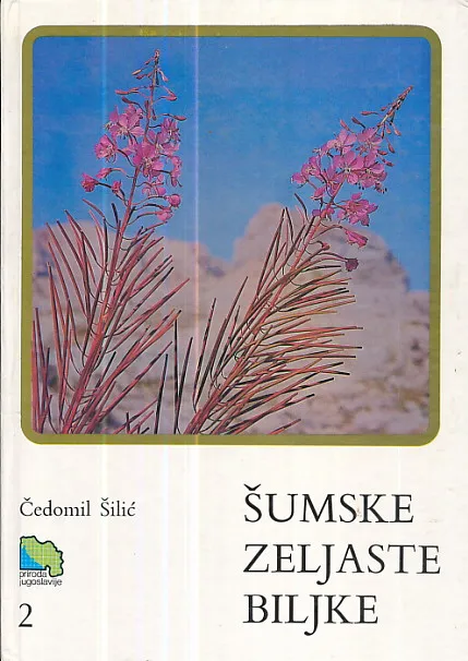 Šumske zeljaste biljke