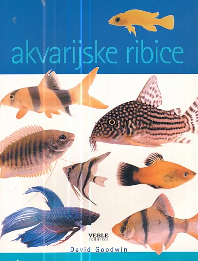 Akvarijske ribice