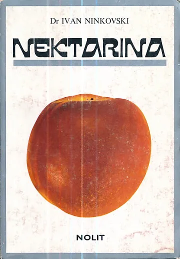 Nektarina