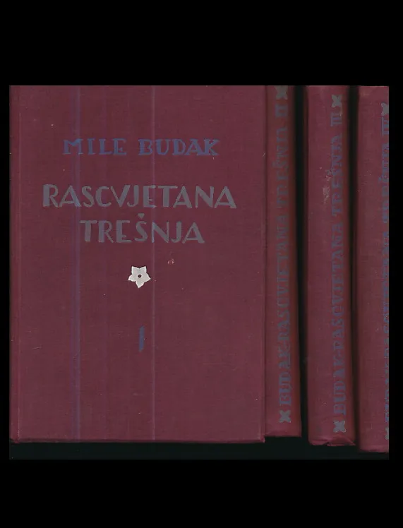 Rascvjetana trešnja 1-4