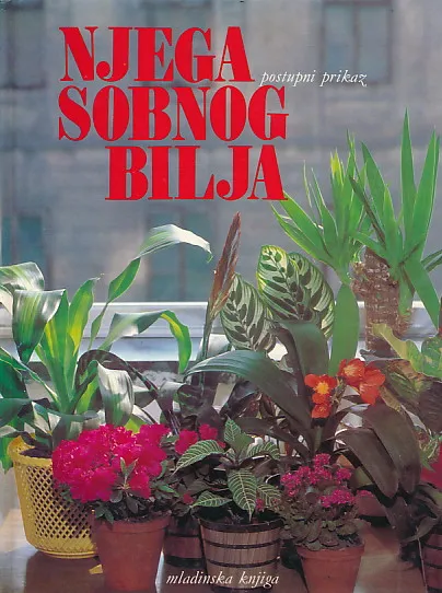 Njega sobnog bilja