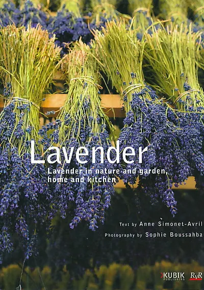 Lavander