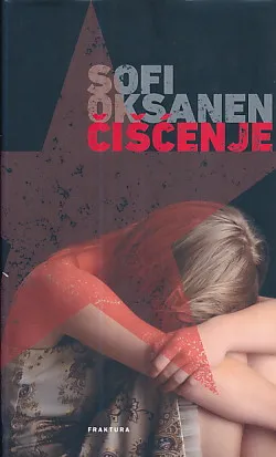 Čišćenje