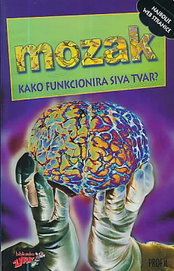 Mozak - kako funkcionira siva tvar?