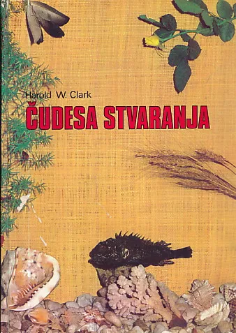 Čudesa stvaranja