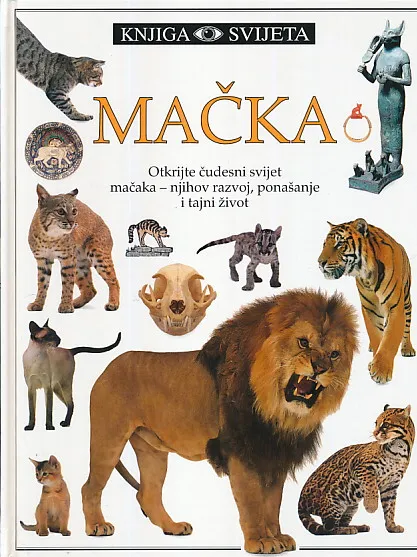 Mačka