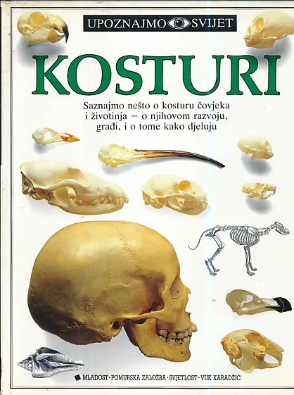 Upoznajmo svijet: Kosturi