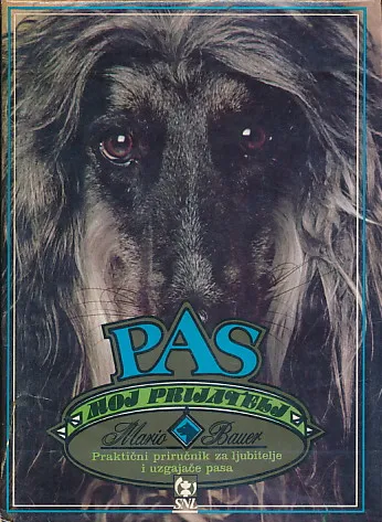 Pas, moj prijatelj