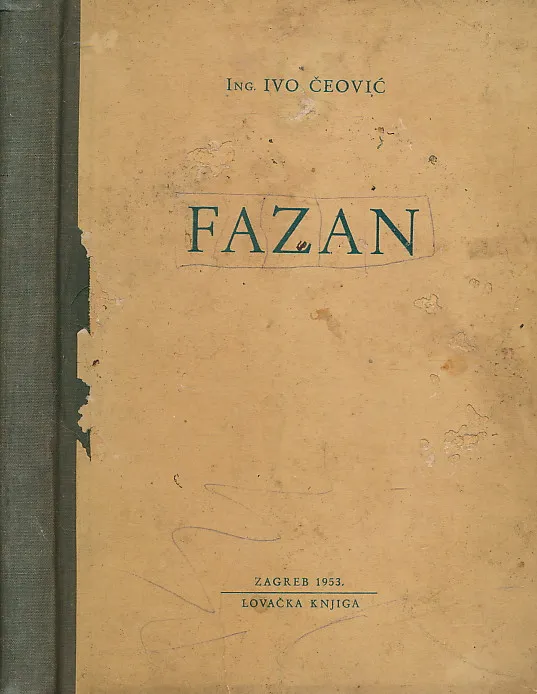 Fazan