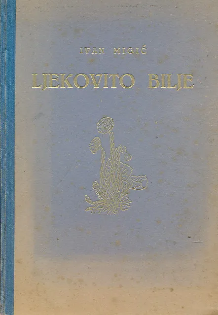 Ljekovito bilje i njegova upotreba u bolesti