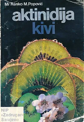 Aktinidija (kivi)