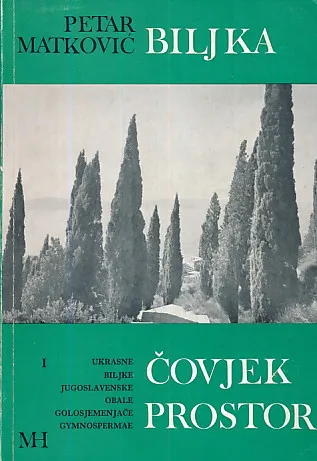 Biljka čovjek prostor