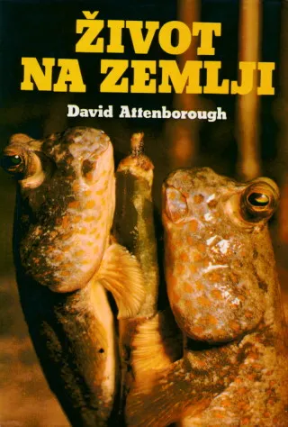 Život na zemlji