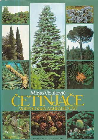 Četinjače - morfologija i varijabilnost