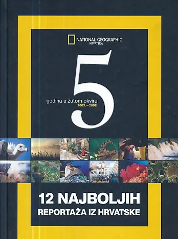 5 godina u žutom okviru 2003.-2008.