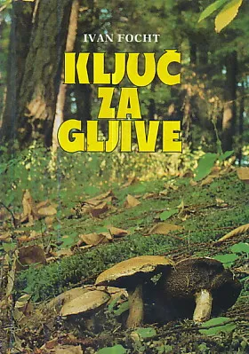 Ključ za gljive