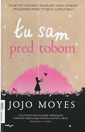 Tu sam pred tobom