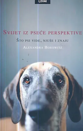 Svijet iz pseće perspektive