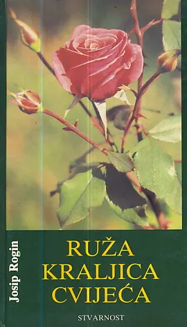 Ruža kraljica cvijeća