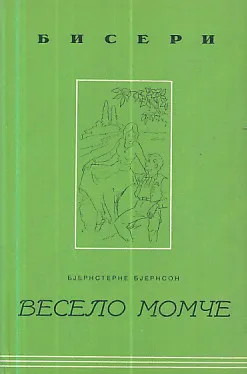 Veselo momče
