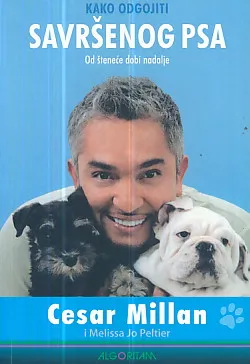 Kako odgojiti savršenog psa