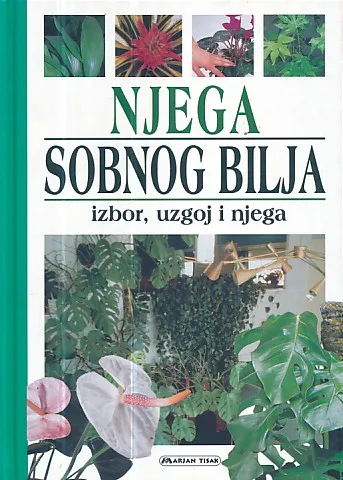 Njega sobnog bilja: izbor, uzgoj i njega