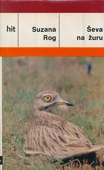 Ševa na žuru