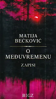 O međuvremenu: Zapisi