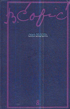 Osma ofanziva
