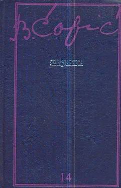 Skiti jure zeca